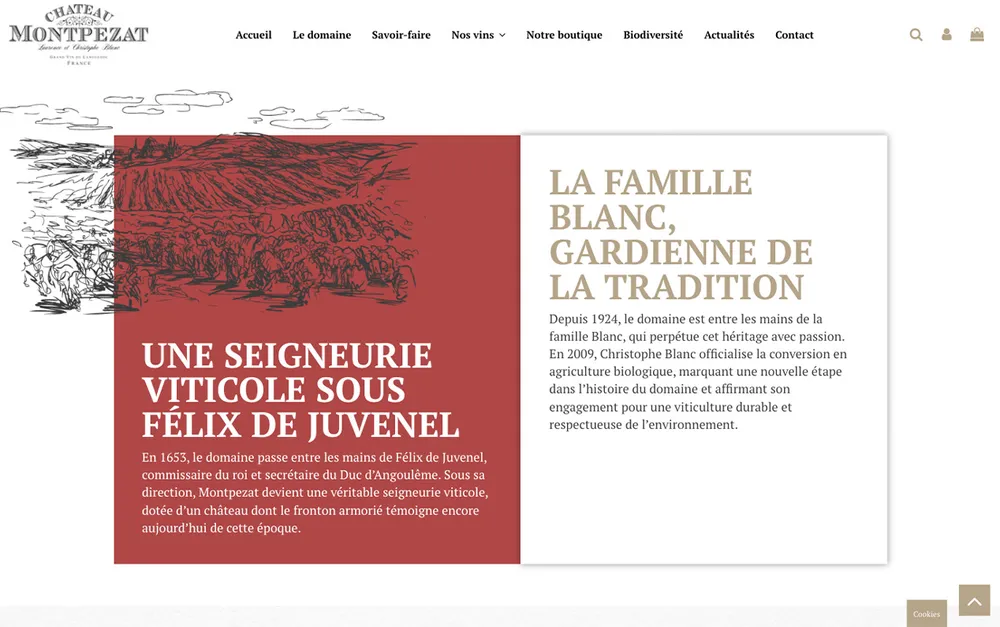 Capture du site de Château de Montpezat, Domaine viticole bio à Pézenas