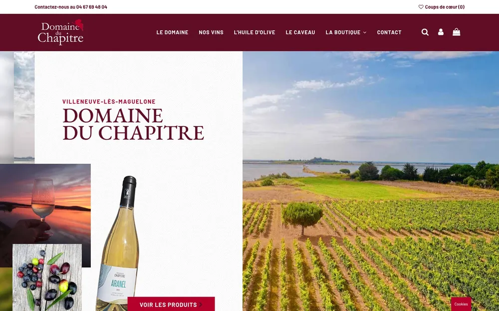 Capture du site de Domaine du Chapitre, Domaine viticole à Villeneuve-lès-Maguelone