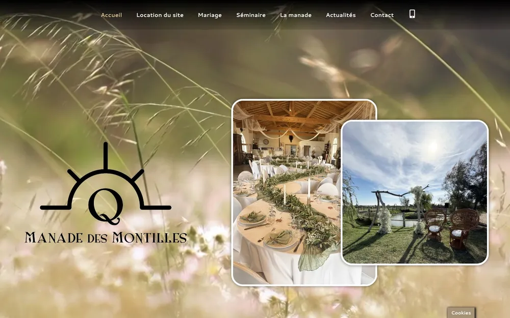 Capture du site de Le Domaine des Montilles, Domaine de réception à Albaron