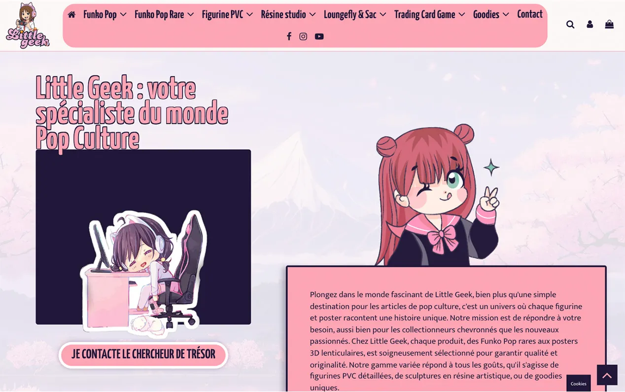 Aperçu du site créé pour Little Geek